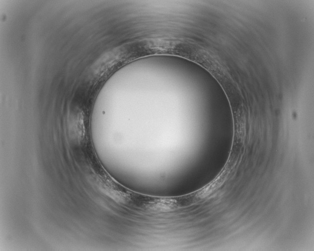 X0000059810128200510211126