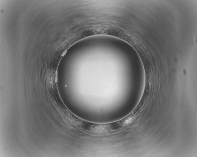 X0000059810129200510211126