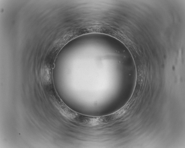 X0000059810130200510211126