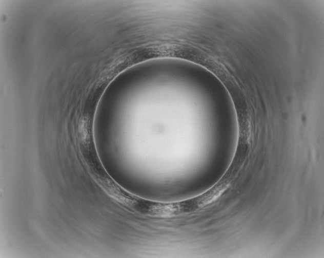 X0000059810131200510211126