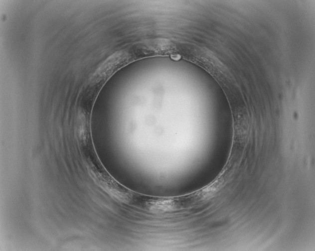 X0000059810132200510211126