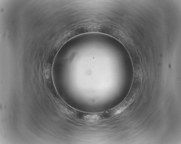 X0000059810133200510211126