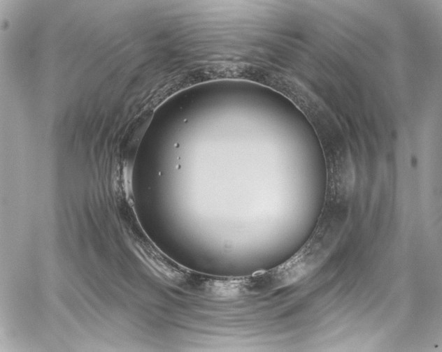 X0000059810134200510211126