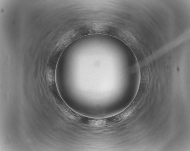 X0000059810135200510211126