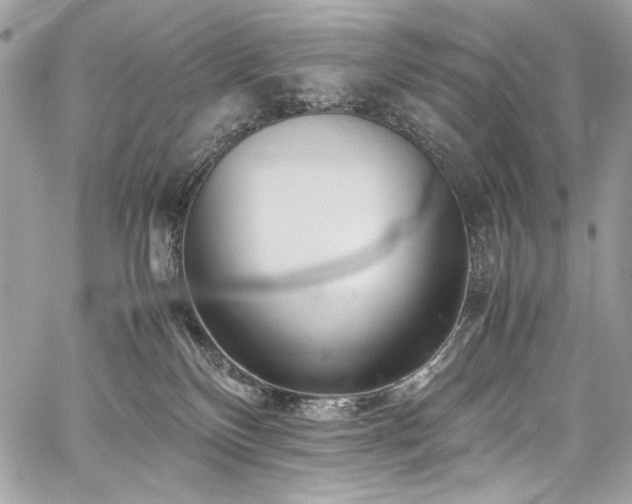 X0000059810136200510211126