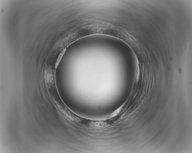 X0000059810137200510211126