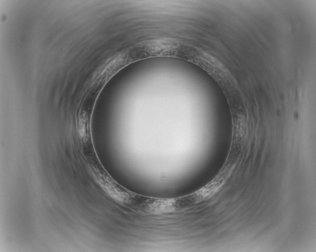 X0000059810138200510211126