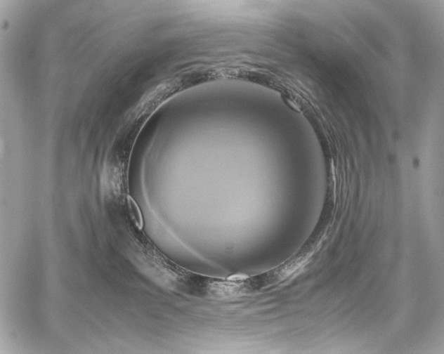 X0000059810139200510211126