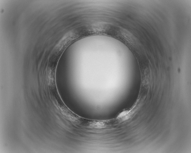 X0000059810140200510211126