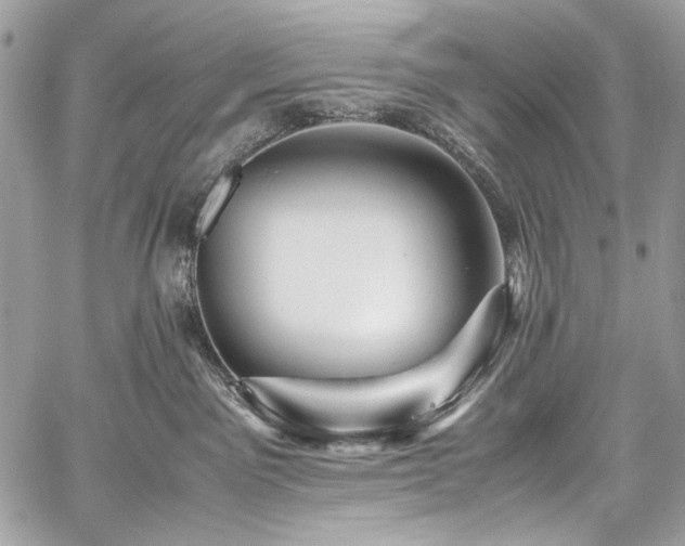 X0000059810141200510211126