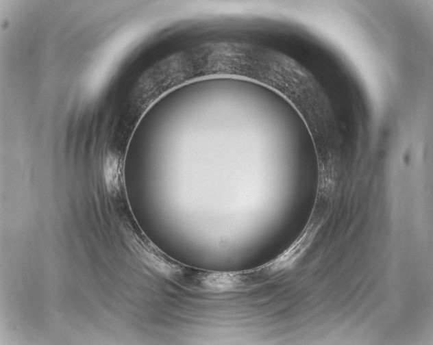 X0000059810142200510211126