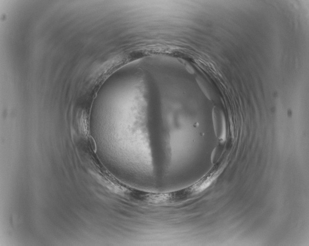 X0000059810143200510211126