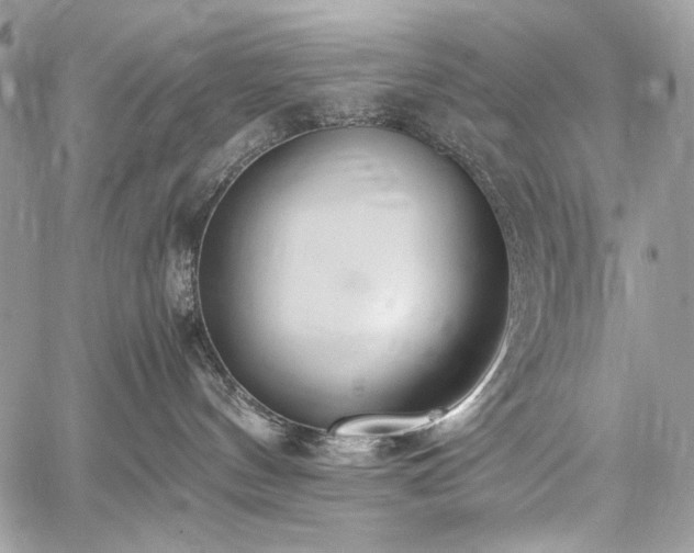 X0000059810144200510211126