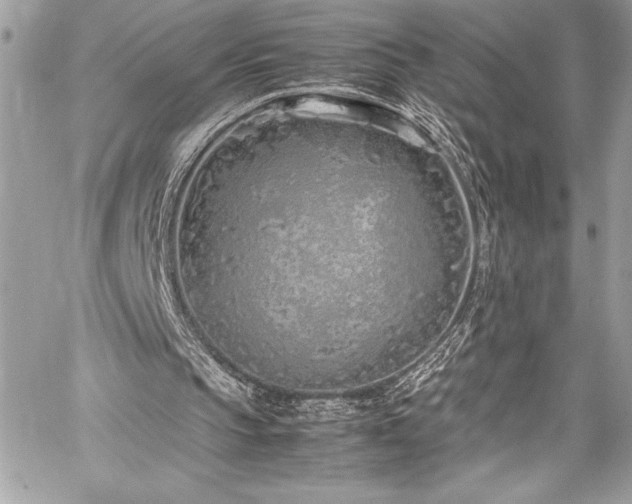 X0000059810145200510211125