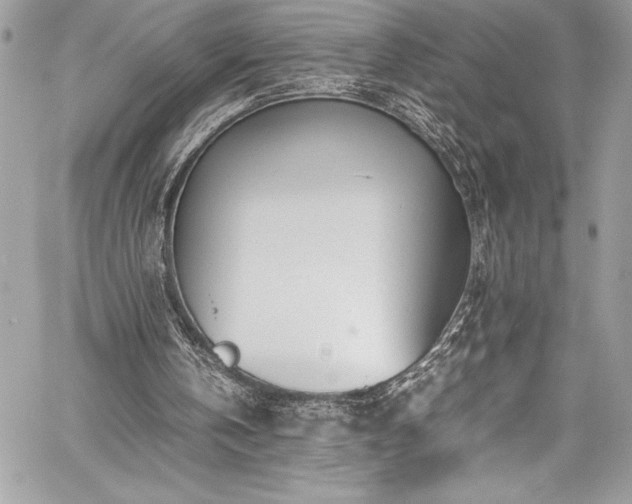 X0000059810146200510211125