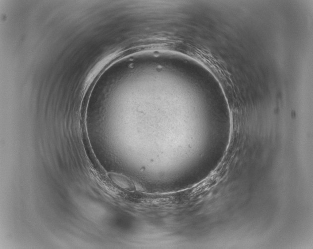 X0000059810147200510211125