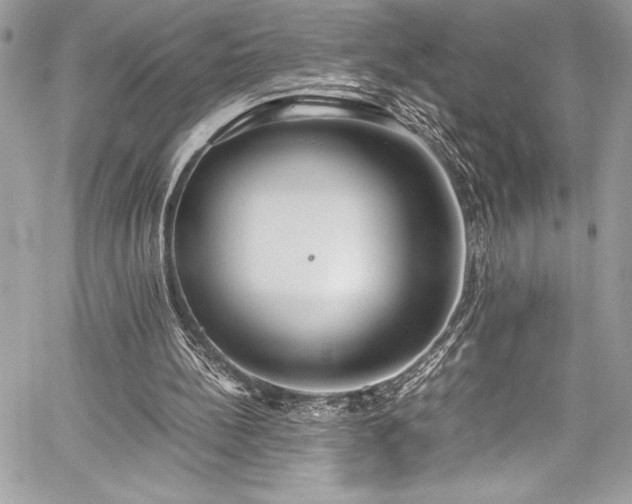 X0000059810148200510211125