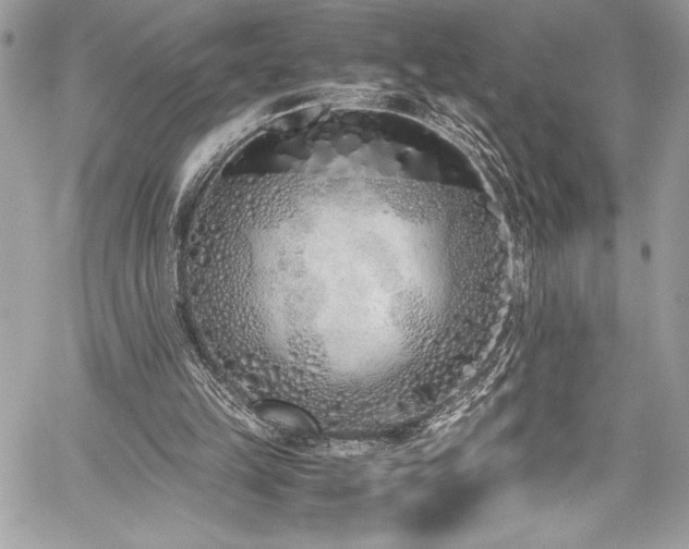 X0000059810149200510211125