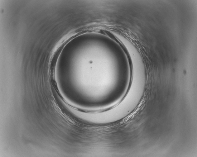 X0000059810150200510211125