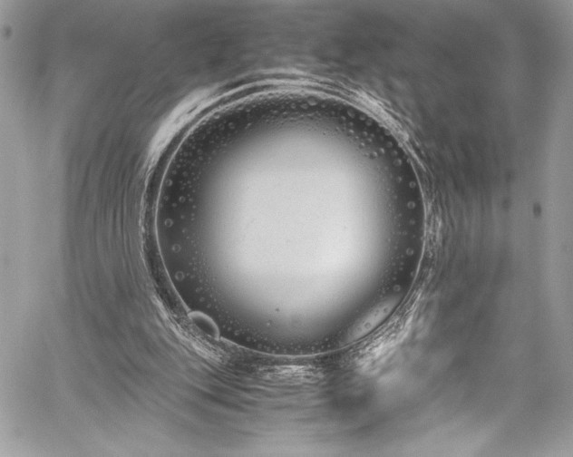 X0000059810151200510211125