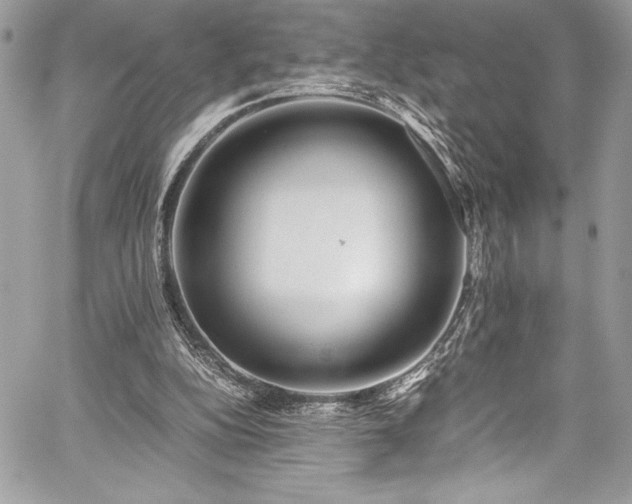 X0000059810152200510211125