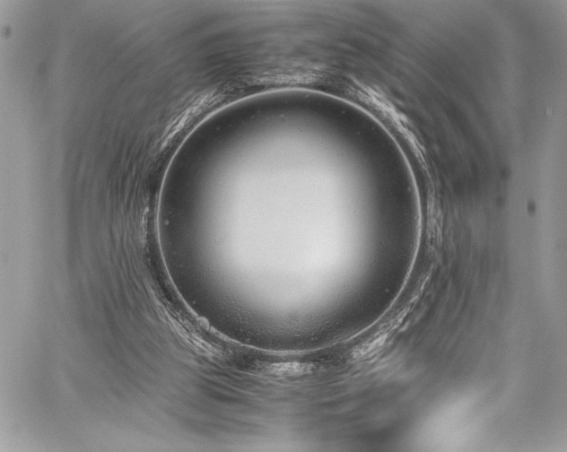 X0000059810153200510211125