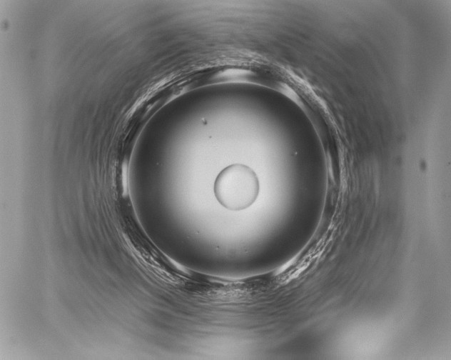 X0000059810154200510211125