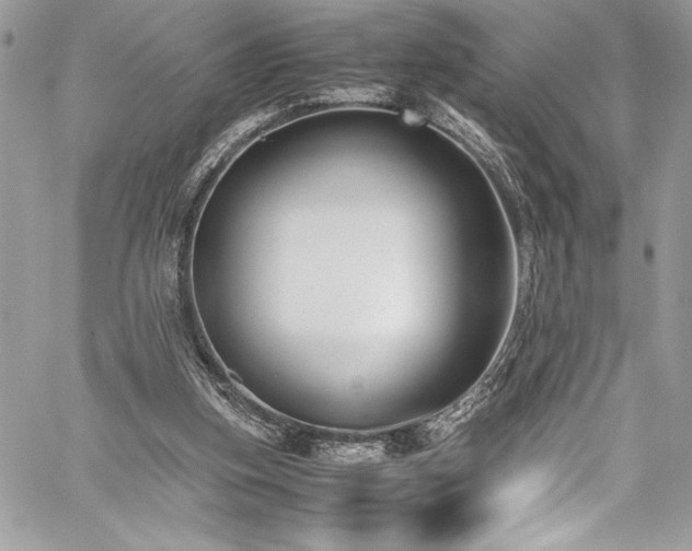 X0000059810155200510211125