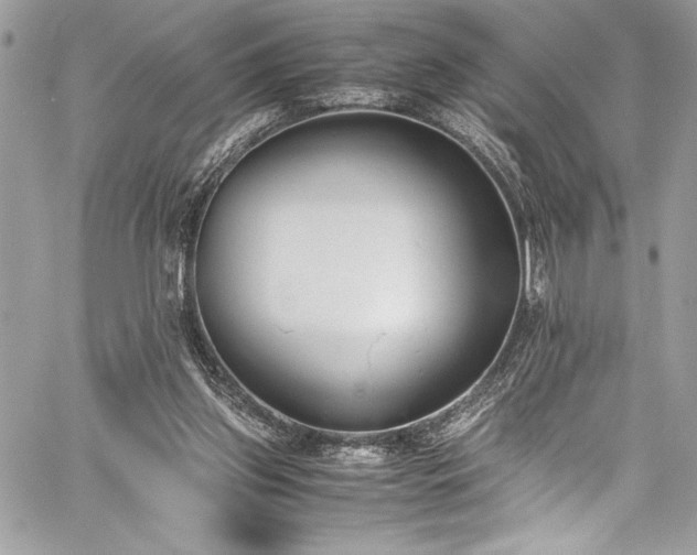 X0000059810157200510211125