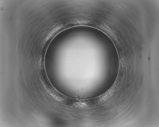 X0000059810159200510211125