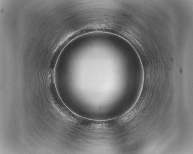 X0000059810160200510211125