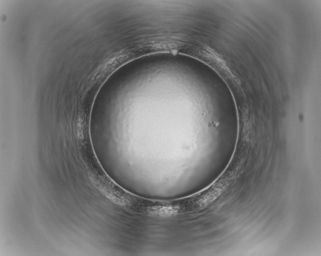 X0000059810161200510211125