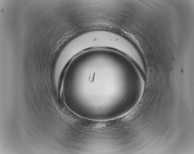 X0000059810162200510211125