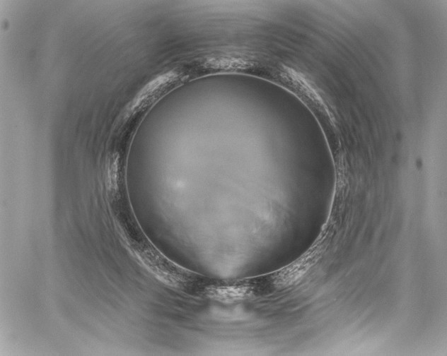 X0000059810163200510211126