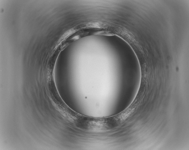 X0000059810164200510211126