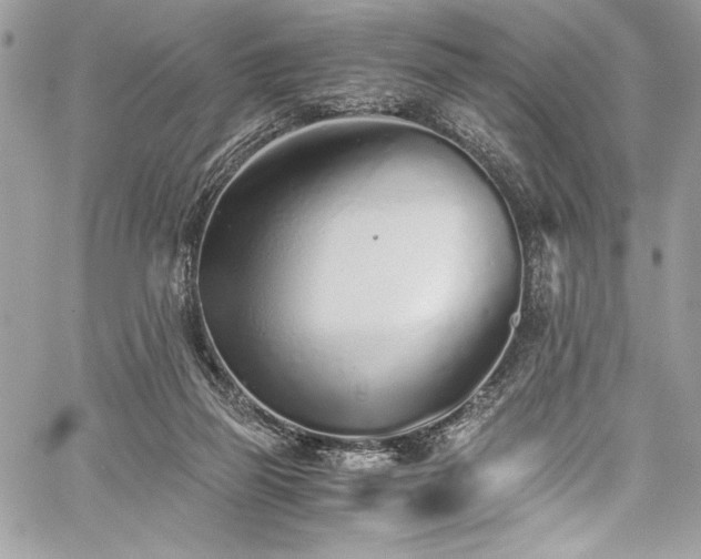 X0000059810165200510211126