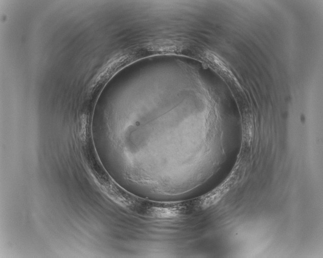 X0000059810167200510211126