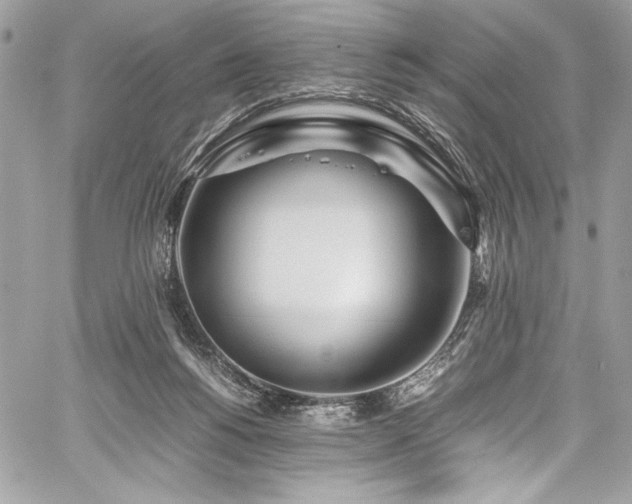 X0000059810168200510211126