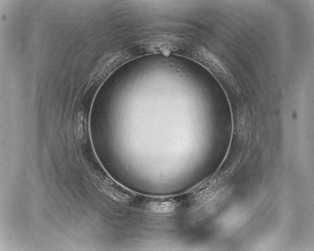 X0000059810169200510211126