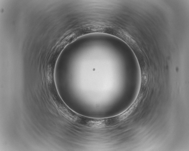 X0000059810170200510211126