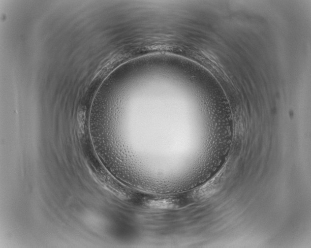 X0000059810171200510211126