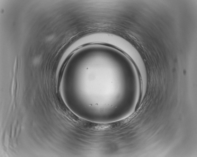 X0000059810172200510211126