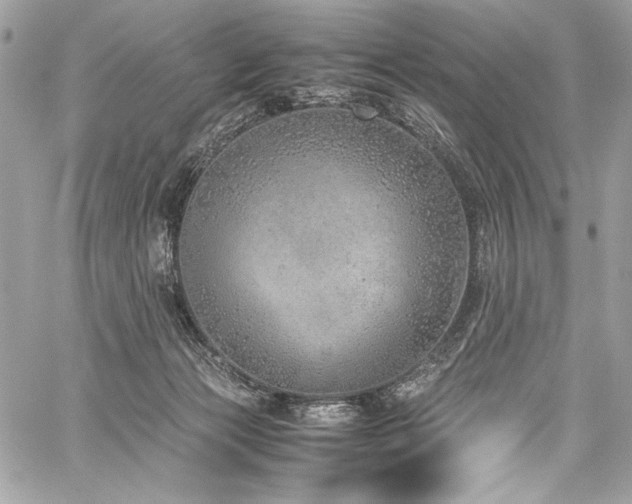 X0000059810173200510211126