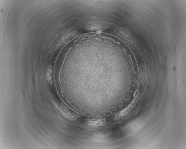 X0000059810175200510211126