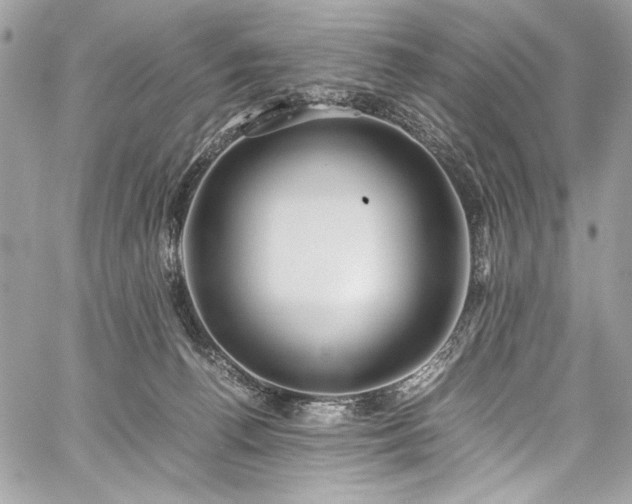 X0000059810176200510211126