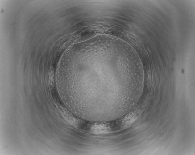 X0000059810177200510211126