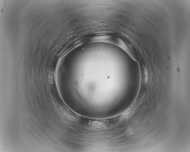 X0000059810180200510211126