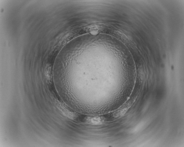 X0000059810181200510211126