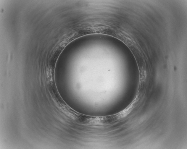 X0000059810182200510211126