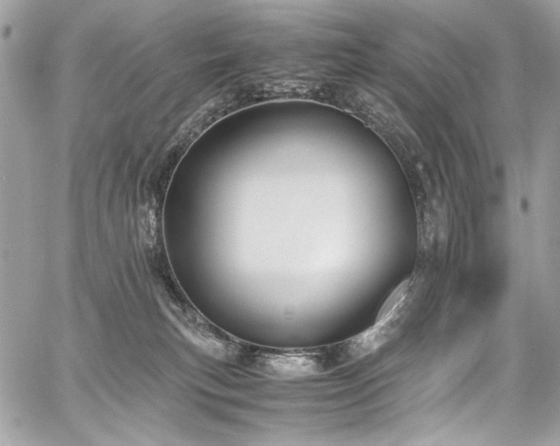 X0000059810183200510211126